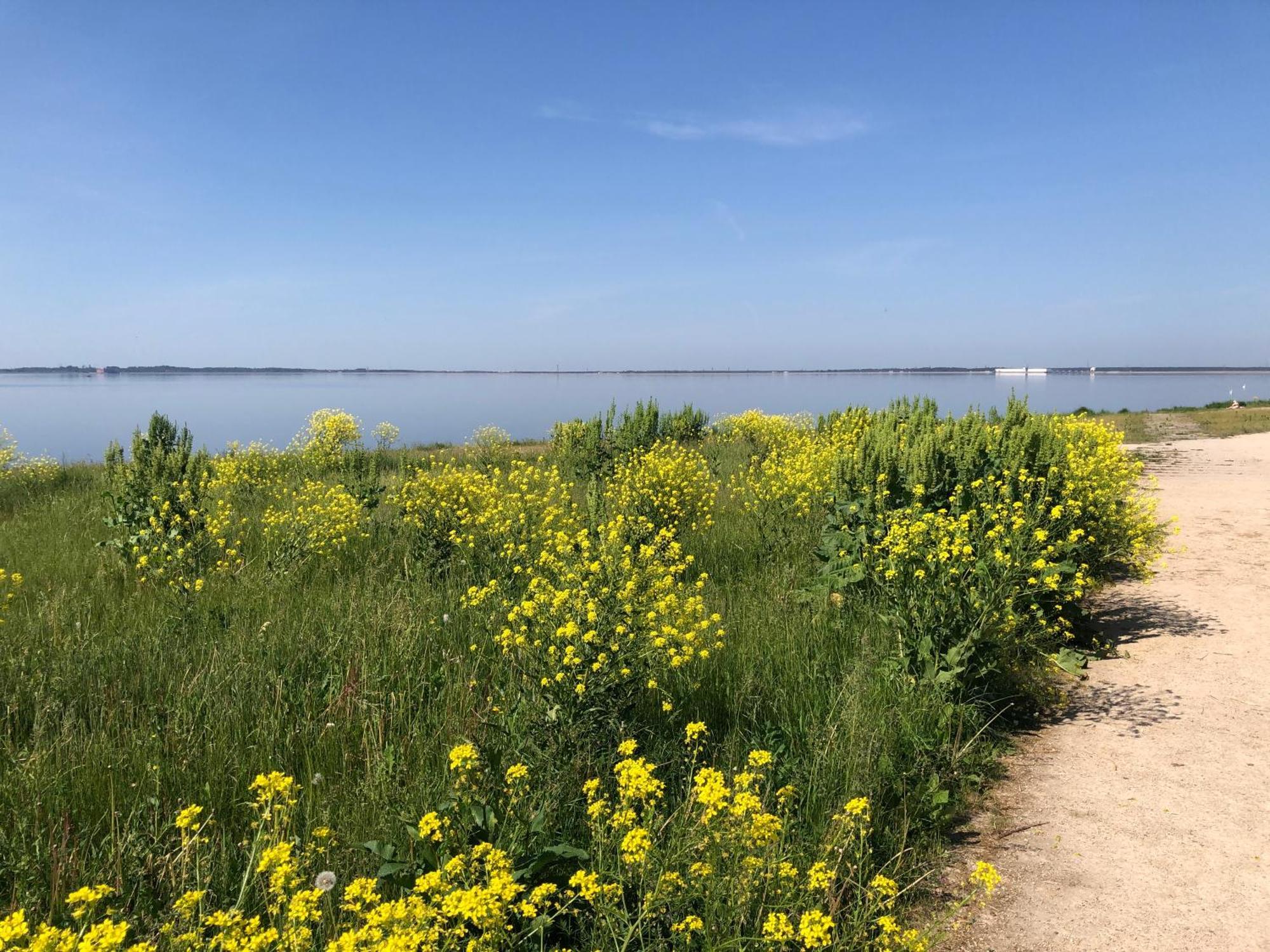 Skolas 1 Salaspils Dış mekan fotoğraf